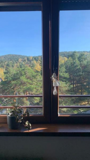 Apartman Veverko